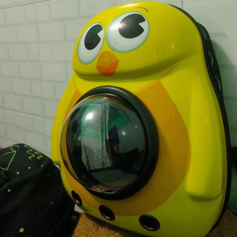 Pet carrier backpack